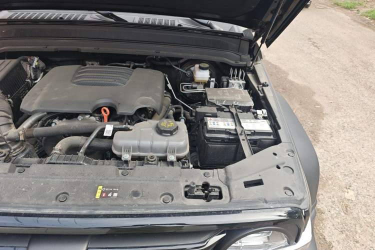 Used Tank 300 2025 2.0T Conqueror Engine Bay Left