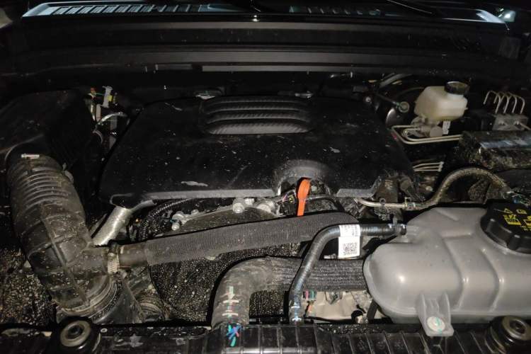 Used Tank 300 2025 2.0T Conqueror Engine Bay
