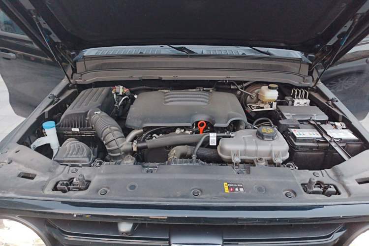 Used Tank 300 2025 2.0T Conqueror Engine Bay