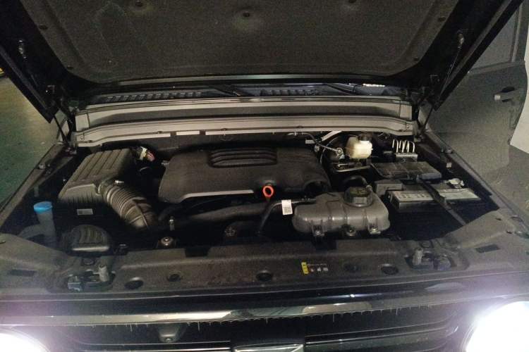 Used Tank 300 2025 2.0T Conqueror Engine Bay