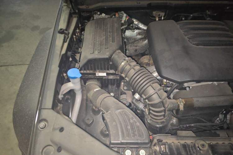 Used Tank 300 2025 2.0T Conqueror Engine Bay Right