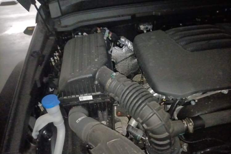 Used Tank 300 2025 2.0T Conqueror Engine Bay Right
