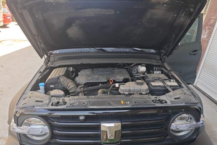 Used Tank 300 2025 2.0T Conqueror Engine Bay