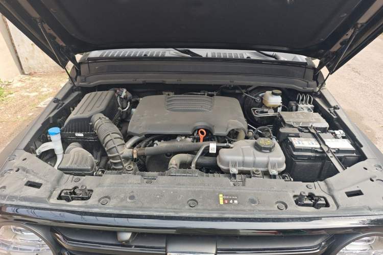 Used Tank 300 2025 2.0T Conqueror Engine Bay