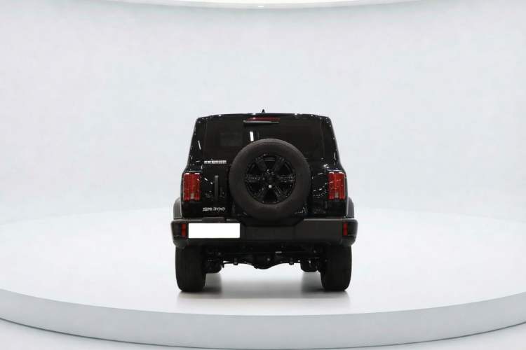 Used Tank 300 2025 2.0T Conqueror Exterior 4