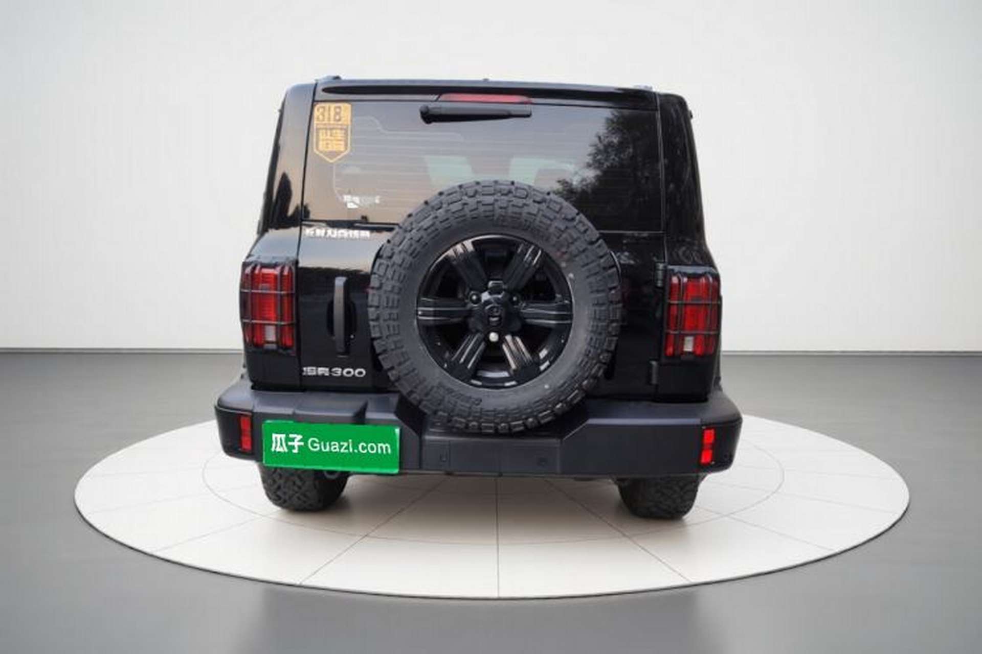 Used Tank 300 2025 2.0T Conqueror Exterior 4