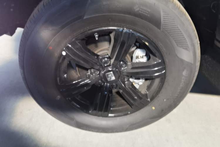 Used Tank 300 2025 2.0T Conqueror Exterior 4