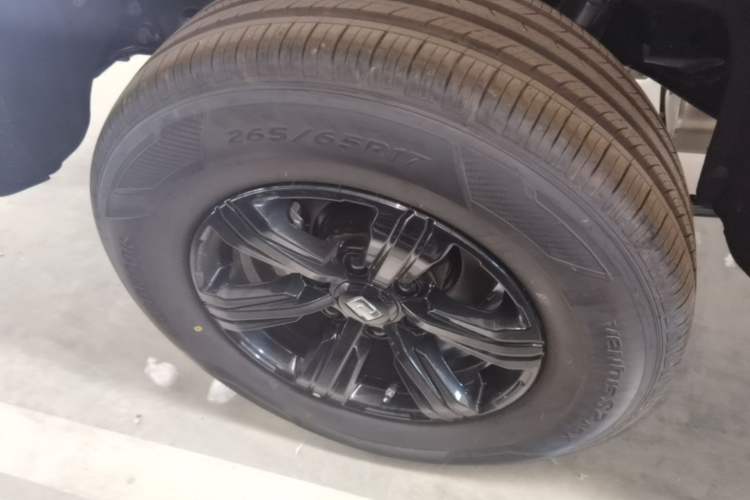 Used Tank 300 2025 2.0T Conqueror Exterior 5
