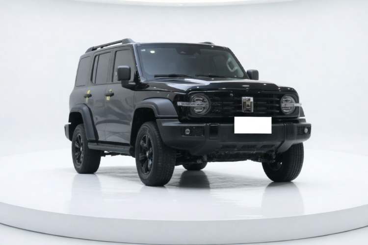 Used Tank 300 2025 2.0T Conqueror Exterior 6