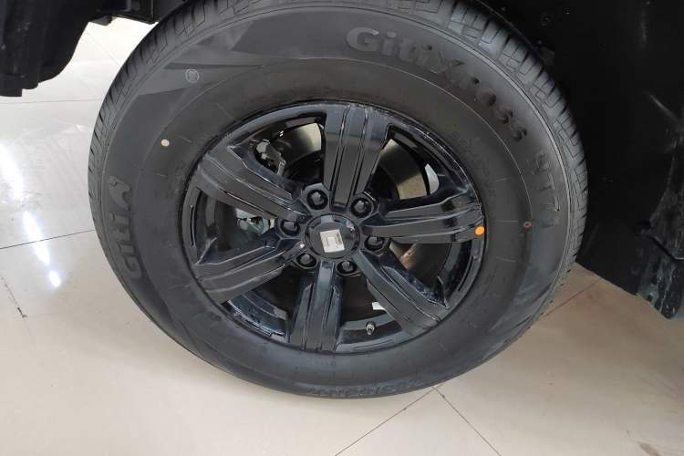 Used Tank 300 2025 2.0T Conqueror Exterior 8