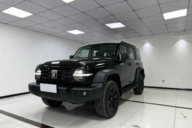 Used Tank 300 2025 Model, 2.4T Diesel Polar Edition