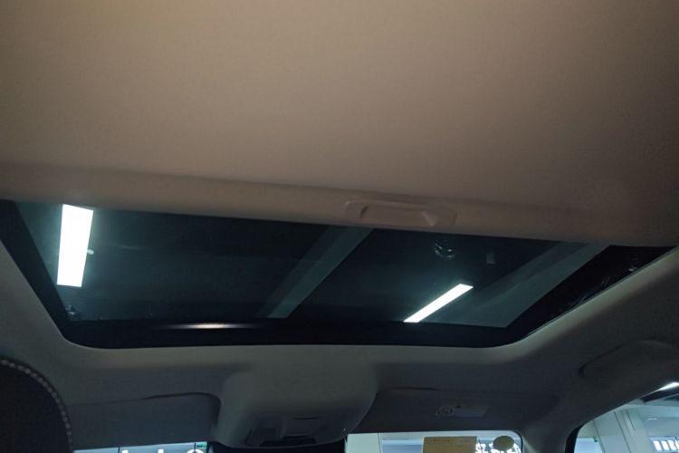 Used Tank 300 2025 2.0T Conqueror Headliner