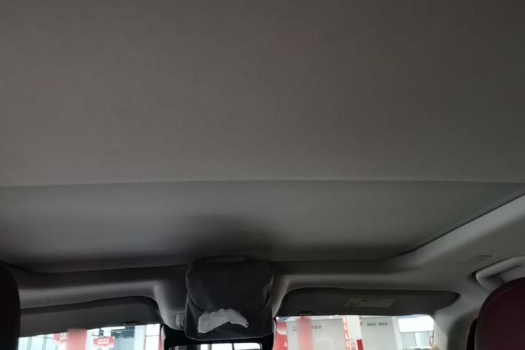 Used Tank 300 2025 2.0T Conqueror Headliner