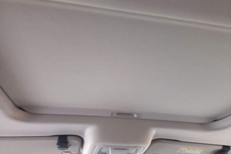 Used Tank 300 2025 2.0T Conqueror Headliner