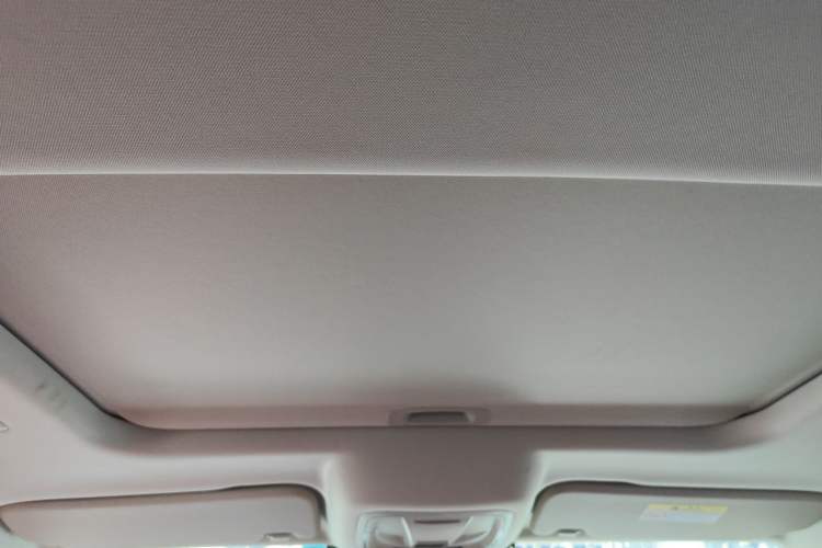 Used Tank 300 2025 2.0T Conqueror Headliner