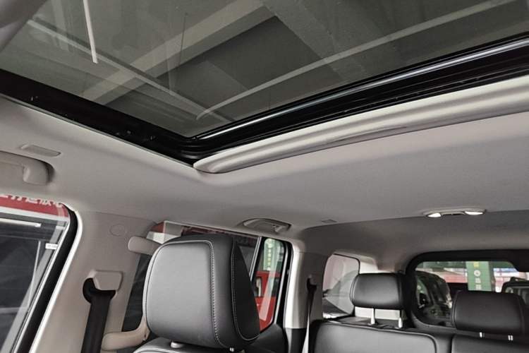 Used Tank 300 2025 2.4T Diesel Version Headliner