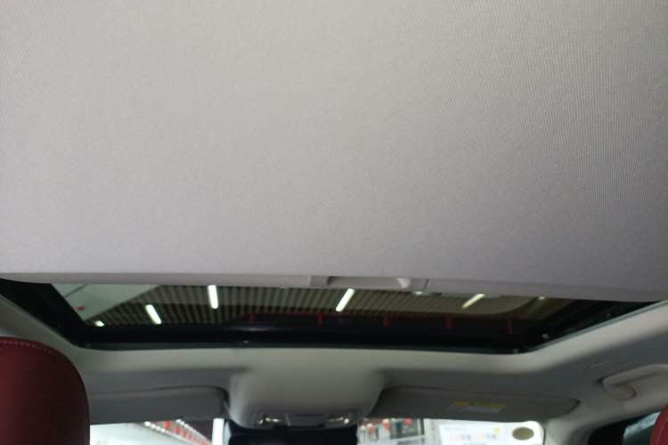 Used Tank 300 2025 2.4T Diesel Version Headliner