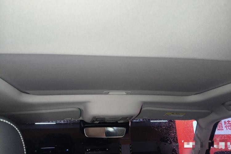 Used Tank 300 2025 2.4T Diesel Version Headliner