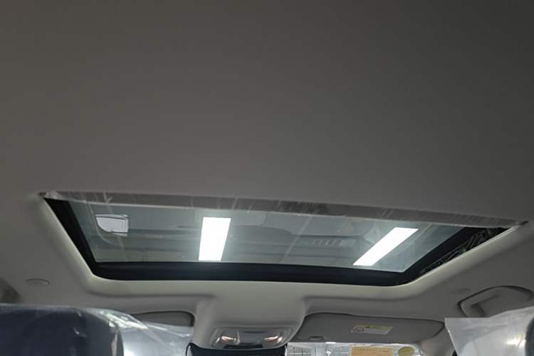 Used Tank 300 2025 2.0T Challenger Headliner
