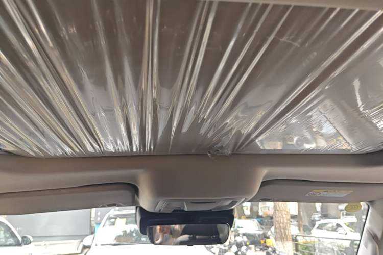 Used Tank 300 2025 2.0T Conqueror Headliner