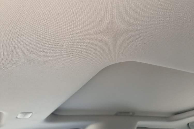 Used Tank 300 2025 2.4T Diesel Version Headliner
