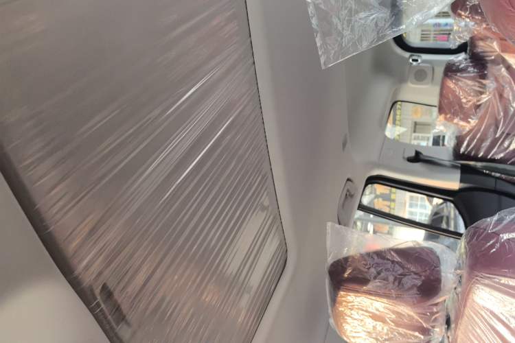 Used Tank 300 2025 2.0T Conqueror Headliner