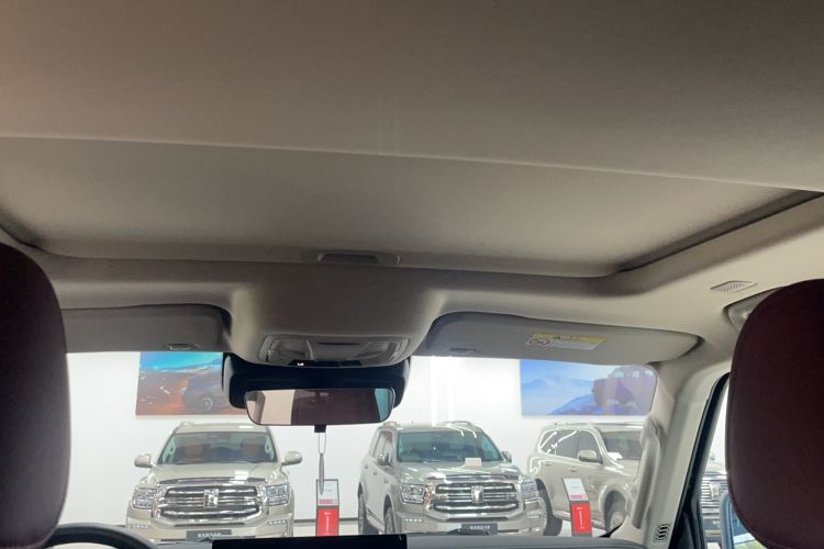 Used Tank 300 2025 2.4T Diesel Version Headliner