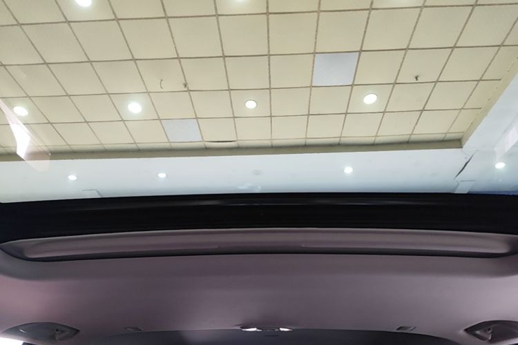 Used Tank 300 2025 2.0T Conqueror Headliner