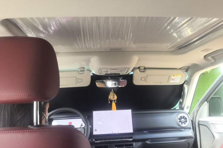 Used Tank 300 2025 2.0T Conqueror Headliner