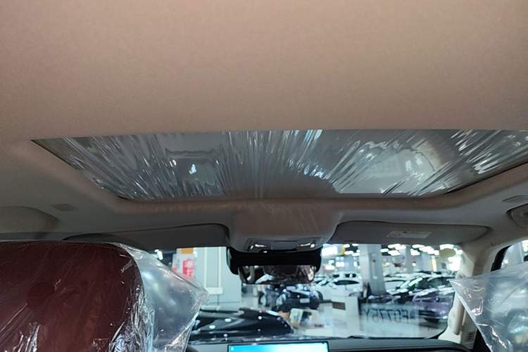 Used Tank 300 2025 2.0T Conqueror Headliner