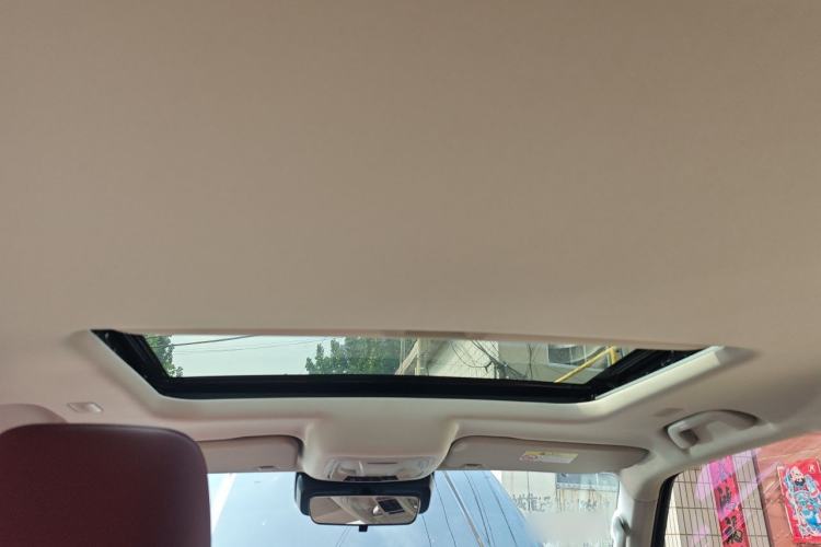 Used Tank 300 2025 2.0T Conqueror Headliner