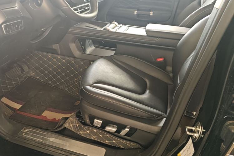 Used Tank 300 2025 2.4T Diesel Version Left Front Seat
