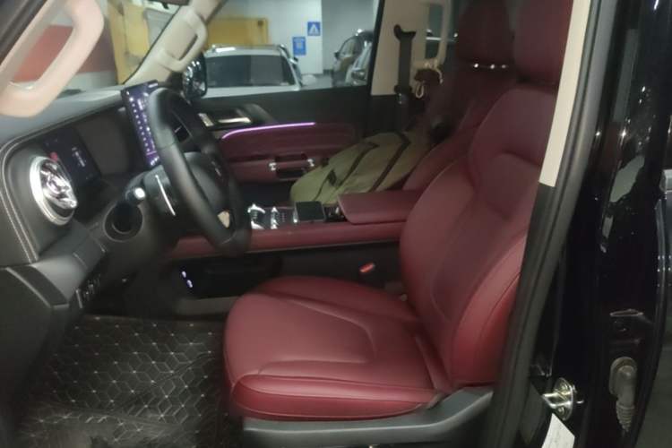 Used Tank 300 2025 2.0T Conqueror Left Front Seat