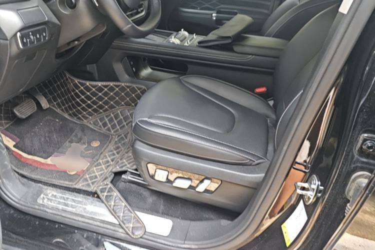 Used Tank 300 2025 2.0T Conqueror Left Front Seat