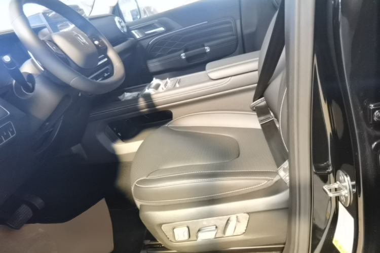 Used Tank 300 2025 2.0T Conqueror Left Front Seat