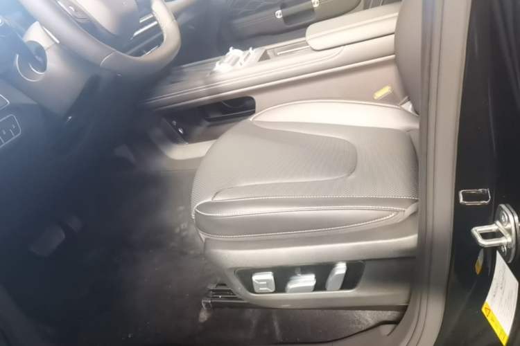 Used Tank 300 2025 2.0T Conqueror Left Front Seat