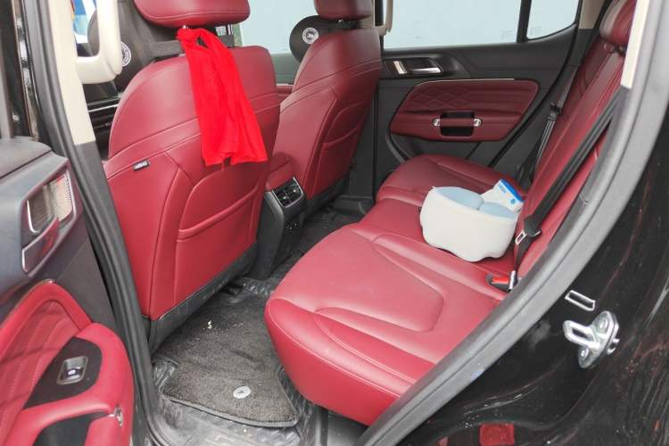 Used Tank 300 2025 2.0T Conqueror Left Rear Seat