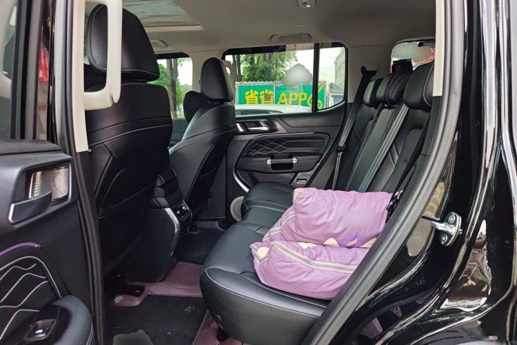 Used Tank 300 2025 2.0T Conqueror Left Rear Seat