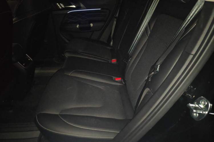 Used Tank 300 2025 2.0T Conqueror Left Rear Seat