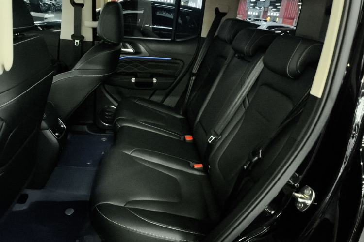 Used Tank 300 2025 2.0T Challenger Left Rear Seat