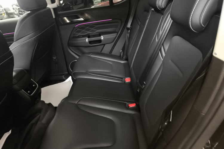 Used Tank 300 2025 2.4T Diesel Version Left Rear Seat