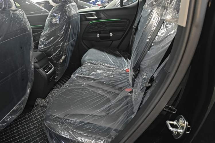 Used Tank 300 2025 2.0T Challenger Left Rear Seat