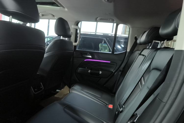 Used Tank 300 2025 2.0T Challenger Left Rear Seat