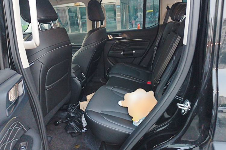 Used Tank 300 2025 2.0T Conqueror Left Rear Seat