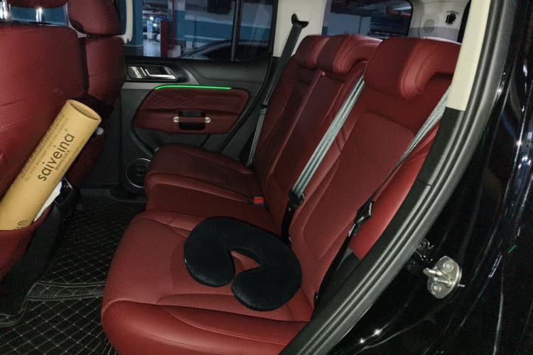 Used Tank 300 2025 2.0T Challenger Left Rear Seat