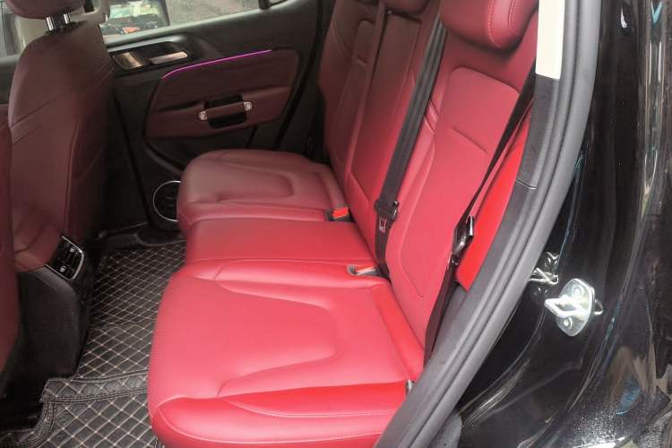 Used Tank 300 2025 2.0T Conqueror Left Rear Seat