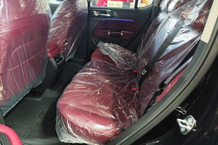 Used Tank 300 2025 2.0T Conqueror Left Rear Seat