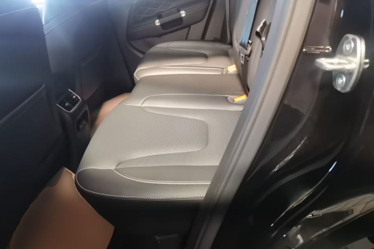 Used Tank 300 2025 2.0T Conqueror Left Rear Seat