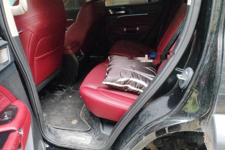 Used Tank 300 2025 2.0T Conqueror Left Rear Seat