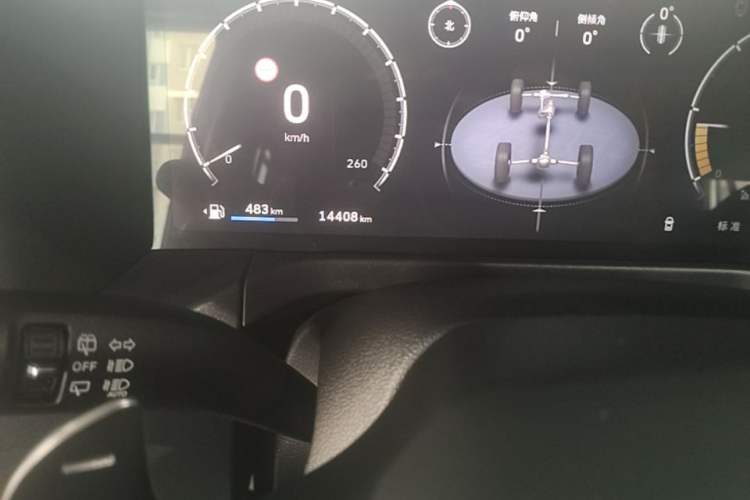 Used Tank 300 2025 2.4T Diesel Version Odometer Close Up